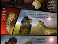Taka_Comic_67_part_3_by_Savu0211.jpg